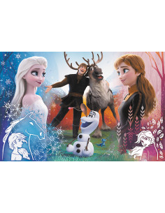 Trefl Puzzle 300 Frozen 2