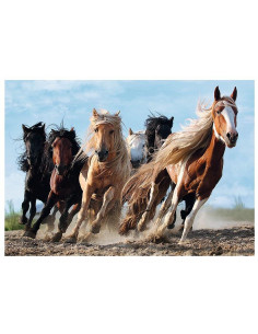 Trefl Puzzle 1000 Galloping kone 2