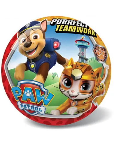 Lopta Paw Patrol 23cm