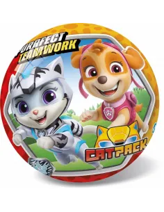 Lopta Paw Patrol 14cm